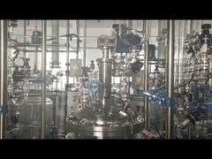 화학 유리 반응기